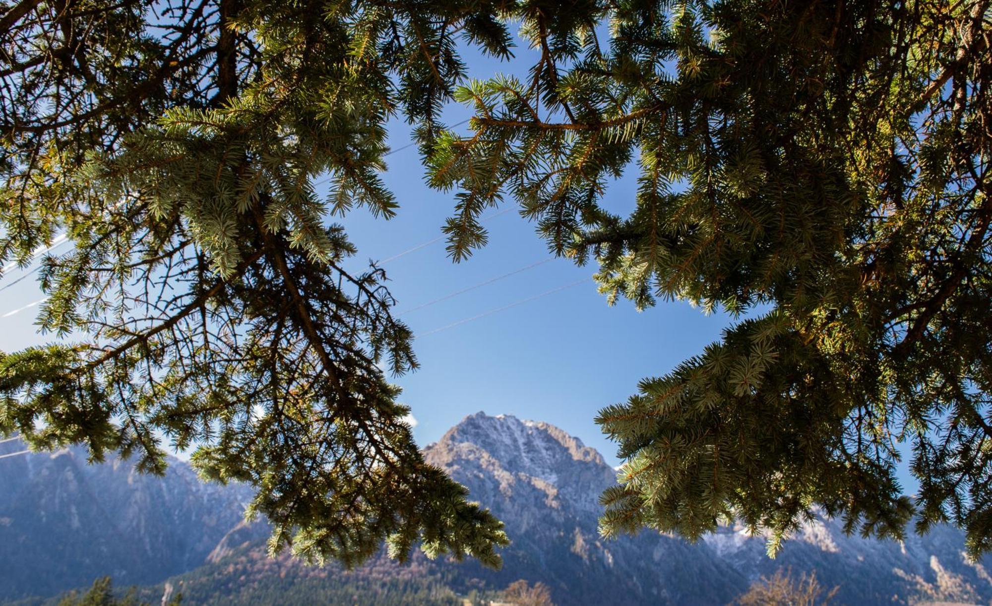 Mountain Vista, Buşteni Eksteriør billede